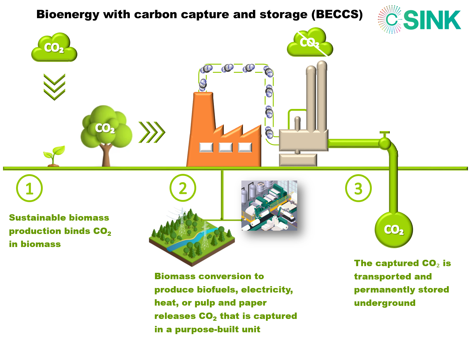 Bioenergy With Carbon Capture And Storage C SINK Project