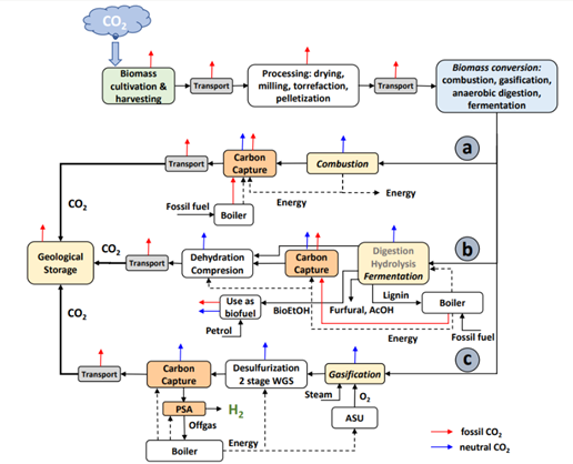 Bioenergy With Carbon Capture And Storage C SINK Project