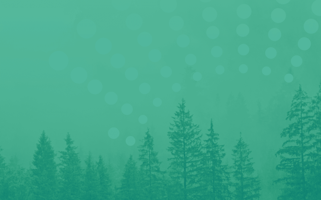 Building Confidence in Carbon Dioxide Removal – The Role of Monitoring, Reporting and Verification (MRV)