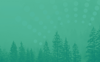 Building Confidence in Carbon Dioxide Removal – The Role of Monitoring, Reporting and Verification (MRV)