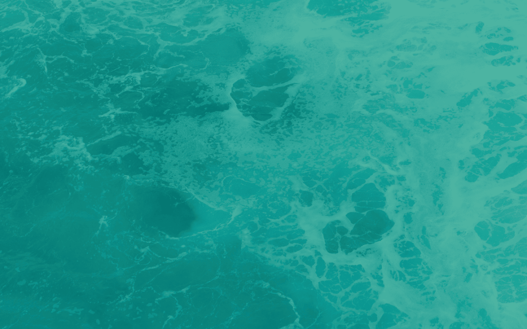 Navigating the Sea of Uncertainty Around Marine Carbon Dioxide Removal (mCDR)